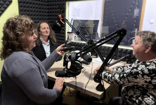 Novinarstvo koje traži rješenja: SoJo iskustva iz Bosne i Hercegovine