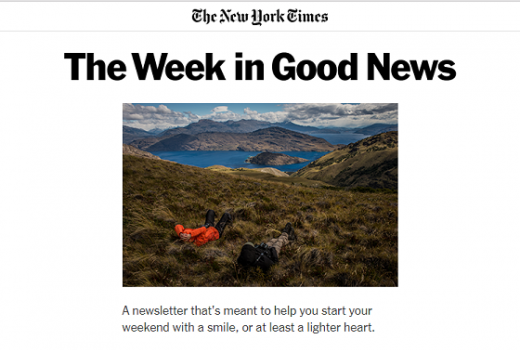 watching nyt newsletter