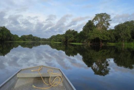 Intenzivirana potraga za novinarom i stručnjakom za domorodačko stanovništvo koji su nestali u Amazoniji