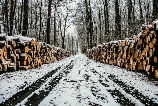 Dodjela grantova za istraživačke novinare