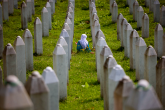 Rezolucija o genocidu u Srebrenici: Teorije o uroti zapadnih sila 